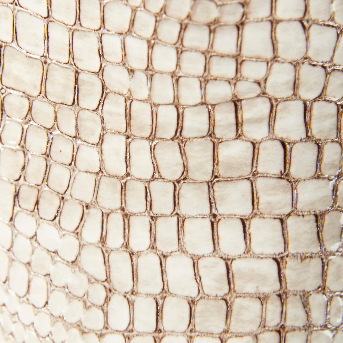 Lou croc leather block heel mules - beige